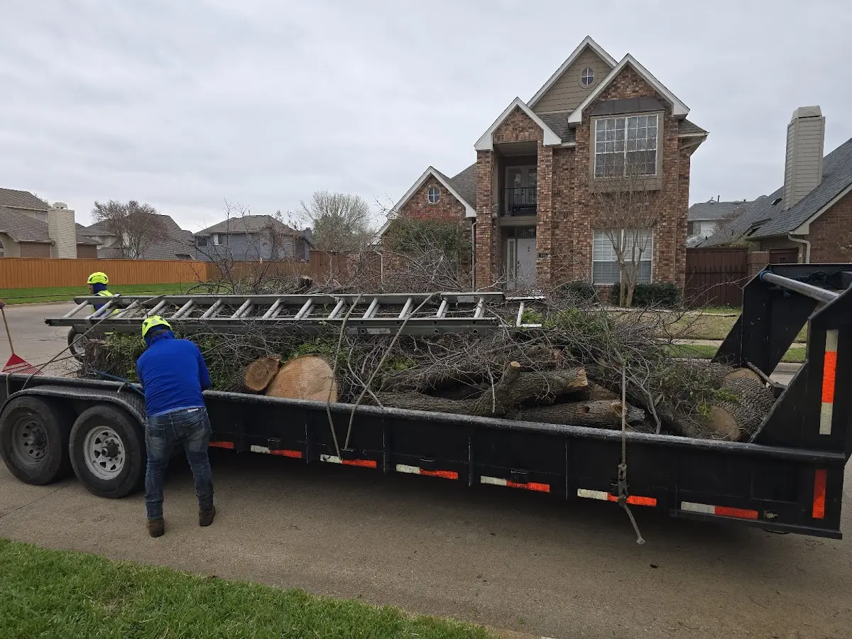 Expert Tree Fertilization with proper safety equipment in Winslow